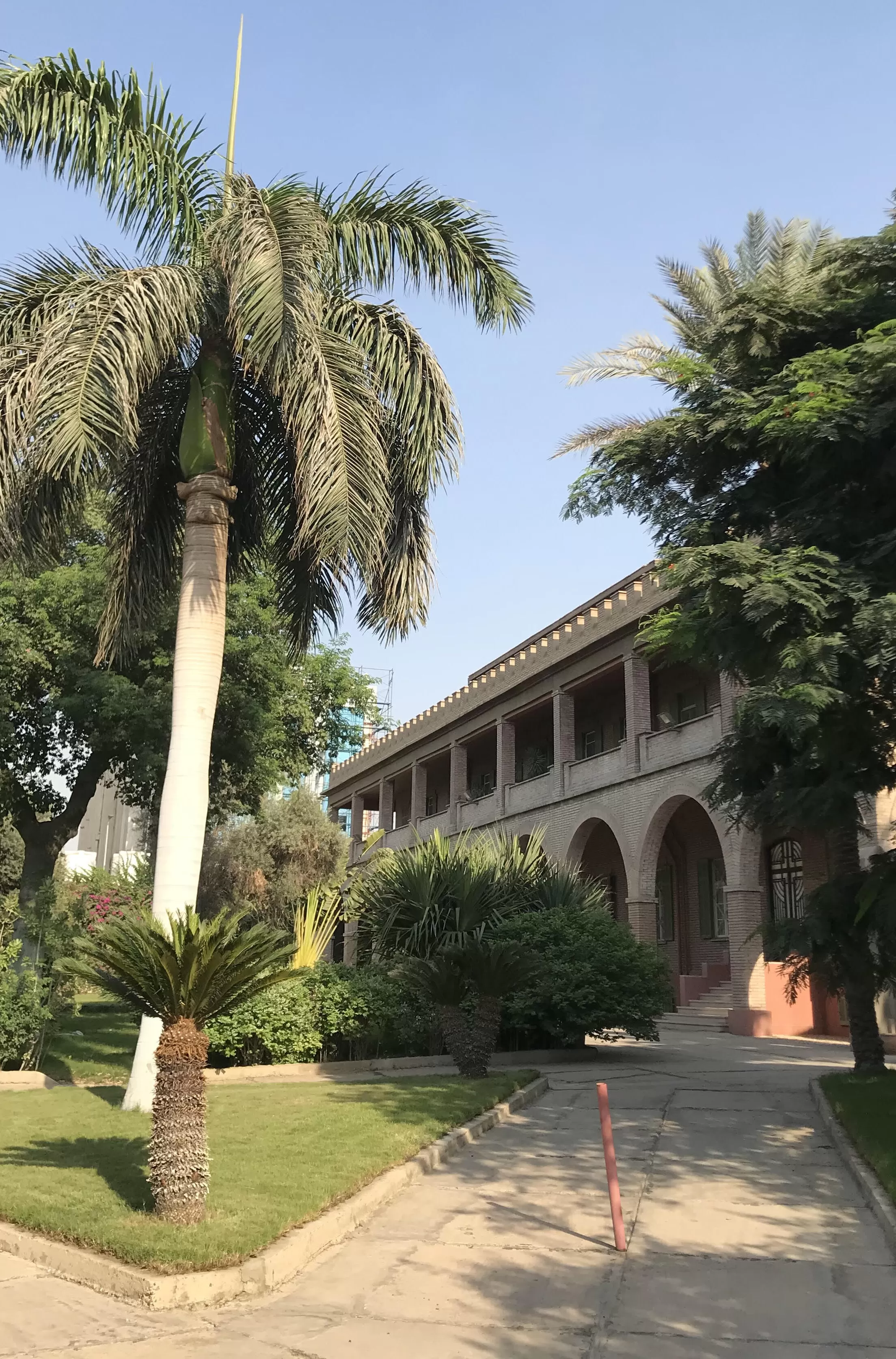 Suy ngẫm về mùa hè: Học tiếng Ả Rập ở Cairo
