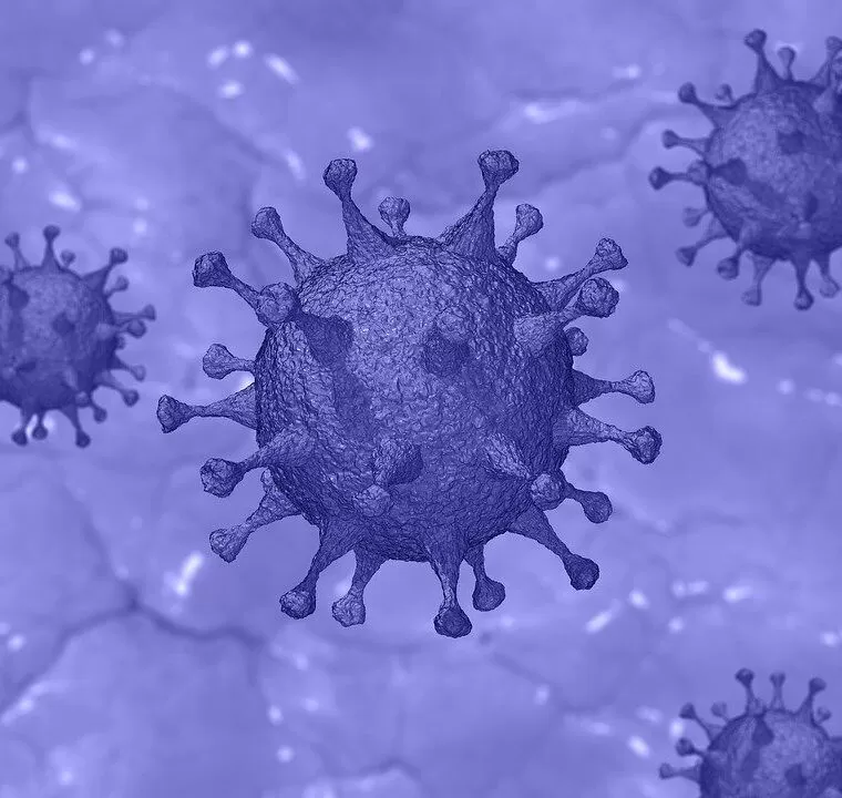 ¿Es el arrepentimiento una respuesta arcaica al coronavirus?